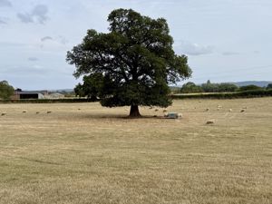 Photo 4- click for photo gallery